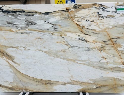 Calacatta Macchia Vecchia Honed 13895 3cm