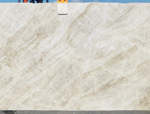 Tajmahal Extra Polished-Leather 8526 2cm